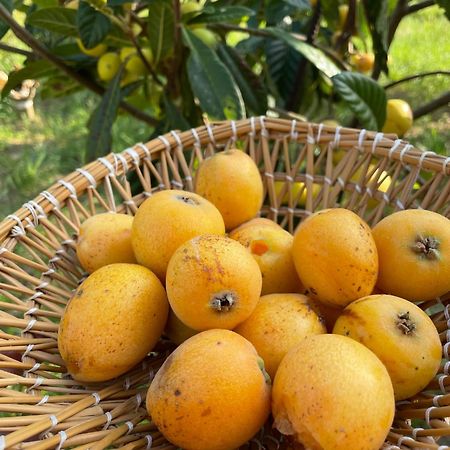 مبيت وإفطار أوترانتو Bio&B Acquaviva المظهر الخارجي الصورة